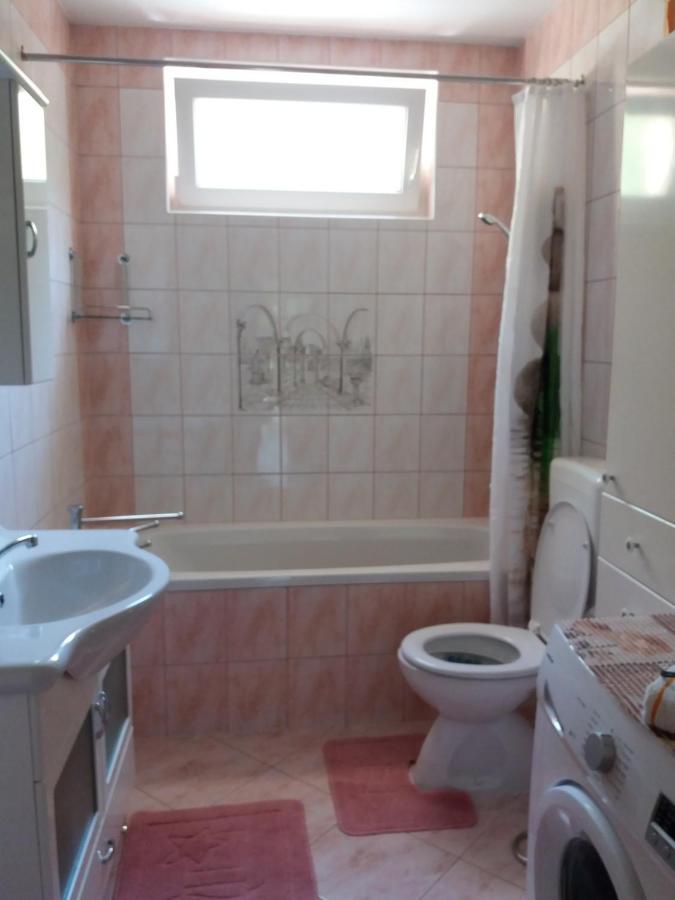 Appartamento Ignac Tribalj Tribalj  Esterno foto